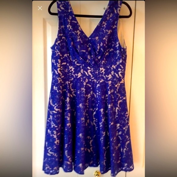 Eliza J Royal Blue Lace Fit & Flare Sleeveless Party Cocktail Line - Picture 3 of 17